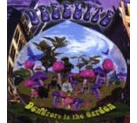 Dew Drops in the Garden