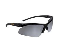 Dewalt DPG51-6C Radius Silver Mirror 10 Base Curve Lens Protective Safety Glasses