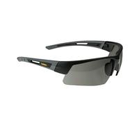 DeWalt Gafas Protectoras - DPG100-2D EU