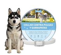 DEWEL Collar Antiparasitario para Perros Grandes y Gigantes (70 cm) - 8 Meses de Protección Eficaz contra Pulgas, Garrapatas, Mosquitos y Piojos - Ajustable, Cómodo y Resistente al Agua
