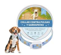 DEWEL Collar Antiparasitario Perro, Collar contra Pulgas, Garrapatas y Mosquitos, Control Antipulgas para Perros y Gatos 6-8 Meses, Collares para Perros y Gatos M 63.5 cm Azul