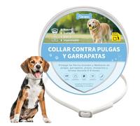 DEWEL Collar Antiparasitarios para Perros Grandes y Medianos 63,5 cm, Protege Perros de Pulgas, Garrapatas, Mosquitos, Piojos de 8 Meses, Cuello contra Pulgas y Garrapatas Ajustable Blanco