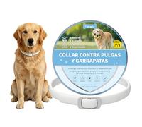 DEWEL Collar Antiparasitarios para Perros Grandes y Medianos 63,5 cm, Protege Perros de Pulgas, Garrapatas, Mosquitos, Piojos de 8 Meses, Cuello contra Pulgas y Garrapatas Ajustable Blanco