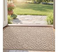 DEXI Felpudo de Entrada 44 x 76 cm, Alfombrilla Antideslizante Duradero, Felpudos Absorbente Lavable, Alfombra Casa Interior para Perro, Puerta, Beige