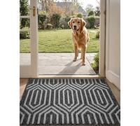 DEXI Tapete Duradero para Puerta de Entrada, Antideslizante, Absorbente, Resistente a la Suciedad, 20 x 32 Pulgadas, Lavable, Color Negro