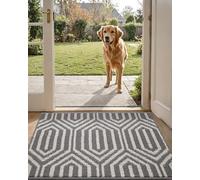 DEXI Tapete para Interiores, Antideslizante, Absorbente, Resistente a la Suciedad, 20 x 32 Pulgadas, Lavable a máquina, Perfil bajo, tapete para Puerta Interior