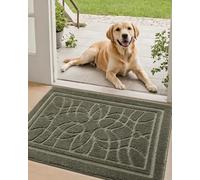 DEXI Tapete para Puerta Delantera para Entrada de casa, 20 x 32 Pulgadas, Antideslizante, Absorbente, tapete Lavable de Perfil bajo para Entrada, Garaje, Patio, Color Verde