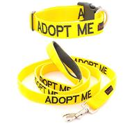 Dexil Adopt ME (Necesito un Nuevo hogar) Collar para Perros SM L-XL codificado por Colores Amarillos y Juegos de Correas con Mango Acolchado de Neopreno de Lujo de 60 cm, 1,2 m y 1,8 m PREVIENE