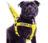 Dexil Adopt ME (Necesito un Nuevo hogar) El arnés para Perros L-XL sin tirones codificado por Colores Amarillos PREVIENE Accidentes advirtiendo a Otros sobre su Perro con anticipación