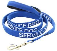 Dexil Limited Correa Acolchada Azul para Perro de 60 cm, 120 cm, 180 cm, Evita Accidentes advirtiendo a Otros de tu Perro con antelación (180 cm)