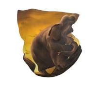 Dexnel Sunset - Bufanda calentador de cuello para padres e hijos, pasamontañas multifuncional, polaina elástica, protección contra el viento