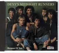 Dexys Midnight Runner - Because of You