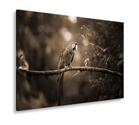 deyoli Lienzo decorativo de color guacamayo descansando sobre una rama musgosa, formato: 100 x 70 cm, efecto: sepia XXL, impresión artística sobre bastidor/mural/decoración del salón