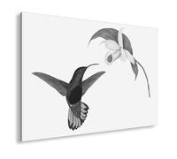 deyoli Lienzo decorativo de un colibrí flotando hacia la luz de las flores, formato de poesía pura y viva, tamaño XXL, 100 x 70 cm, impresión artística en bastidor/decoración de salón