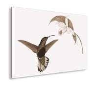 deyoli Lienzo decorativo de un colibrí flotando hacia la luz de las flores, formato de poesía pura y viva, tamaño XXL, 100 x 70 cm, impresión artística en bastidor/decoración de salón