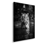 deyoli Orgulloso tigre en el agua, en el brillo del denso bosque formato: 80 x 60 cm, efecto: blanco y negro, impresión artística XXL, diseño de impresión artística sobre marco de