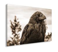 deyoli WTD - Lienzo decorativo (120 x 80 cm), diseño de cuervo con aspecto azul hielo en silencio dignidad de la naturaleza, 120 x 80 cm, efecto sepia XXL