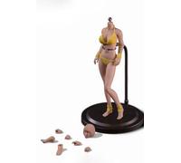 DEZARO 1/12 Scale Female Seamless Action Figures Set-Seamless Body+Head+Underwear-6 Inch Super Flexible Figure Body T01B