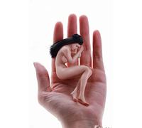 DEZARO Figura de acción a escala de 1/12 pulgadas, colección corporal superflexible sin costuras para hombre y mujer (T01A figura de acción femenina de piel pálida)