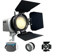 DF-10 Bowens Mount Lente Fresnel con 4-Leaf Viseras