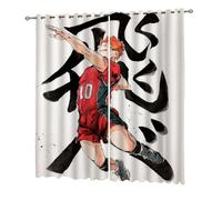 DFARYUP para Haiky-UU!! Cortinas Anime de Dormitorio Infantiles, Cortina Exterior Modernas con Patrón Dibujos Animados, para Niña Niño, Modernas(A6,160 * 180CM)