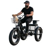 Dfdieratve Bicicleta Eléctrica Tres Ruedas para Adultos - 500W, Batería 48V Extraíble, 30km Autonomía, 2 Modos, para Ciudad, Viajes y Recados Diarios