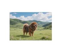 DFENILROP Mastín tibetano en meseta Cuadro De Pared, Poster Obra De Arte Colgado | Impresión Lienzo Murales, Hermoso Pintura Decor Interior Para Salón Pasillo, Regalo 20x30inch(50x75cm)