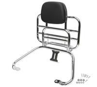 DFFMQSJ - Respaldo universal para moto Sissy Bar con portaequipajes trasero, cromado, desmontable, para asiento del pasajero, compatible con Vespa Sprint Primavera 150 300 GTS