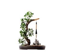 DFGHNBVC Árbol Artificial De Bonsái Artificial, Plantas De Imitación, Árbol De Rocalla, Planta En Maceta con Guijarros para Oficina, Hogar, Adornos De Interior, Árbol Bonsái, Árbol Falso, A