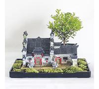 DFGHNBVC Maceta para Jardín De Hadas, Maceta para Suculentas, Kit De Casa En Miniatura, Decoraciones De Micro Paisajes con Luz, Sin Plantas, D