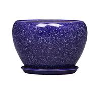 DFHS46JK Macetas Macetas Que se Pueden Utilizar for Cultivar Plantas como Aloe Vera, Cactus y orquídeas Macetas