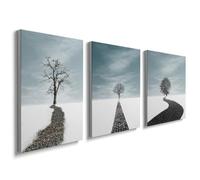 DFZEWKI Pósteres de arte mural estilo boho, lienzos decorativos para dormitorio, láminas abstractas para sala de estar, baño y decoración del hogar (60x80cm (24x31in) x 3 / Sin marco)