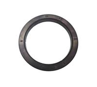 DGERFDJO Anillo de sellado compatible con el cabezal de preparación CASADIO for cafetera semiautomática UNDICI