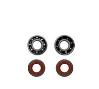 DGHBNP retn de Aceite Compatible con cigüeñal STIHL MS362, Enlace de cigüeñal de Motosierra STIHL MS362, cigüeñal MS362C(D)