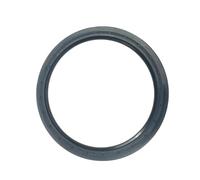 DGHBNP retn de Aceite Compatible con Porsche Cayenne. Compatible con Touareg. Sello de Aceite Trasero del cigüeñal 95810115320 06E103051J 95510105300 079103051F.