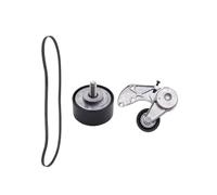 DGOINGPI Kit Correa distribución Compatible con Q7 Compatible con Touareg 022145933P 3PCS Correa tensora del alternador de sincronización Rueda Loca Fit 3.6L V6 Gas BHK/BHL/CGR