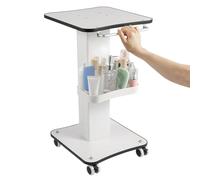 DHQCQL Carro de Cosméticos, Carro de Cosméticos con Ruedas, Carros de Belleza Multifunción Móviles Carro de Salón de Belleza, Carro de Cosméticos para Instrumentos de Belleza Carro Médico, 34 x 38
