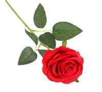 DHSBGWSX 1 rosa roja, flor de rosa artificial, con tallo, planta artificial, decoración de mesa, boda, hogar, oficina, jardín