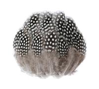 DHSBGWSX 100 plumas de perlas, plumas marrones, manualidades de plumas, decoración de plumas, plumas de gallina de Guinea Accesorios de joyería DIY