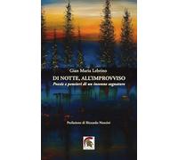 Di notte, all’improvviso. Poesie e pensieri di un insonne sognatore (Poesia)