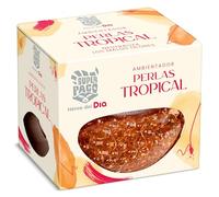 DIA SUPER PACO ambientador perlas perfumadas tropical 110 gr