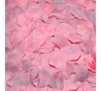 Diablo Picante 100 Pétalos Rosa - Perfectos Para Crear Un Ambiente Romántico Y Sensual