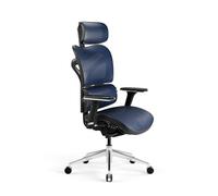Diablo V-Commander Silla de Oficina Ergonómica Escritorio Reposabrazos 3D Reposacabezas y Asiento Ajustables Soporte Lumbar Tejido de Malla (Negro-Azul)