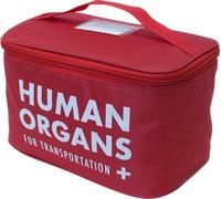 Diabolical Bolsa de almuerzo aislada con órganos humanos, regalos secretos de Papá Noel para hombres, regalos divertidos de oficina, bolsa de almuerzo empaquetada, roja