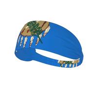 Diadema ancha con estampado de la bandera del estado de Oklahoma para mujer, antideslizante, absorbe la humedad, yoga, correr, entrenamiento, gimnasio, etc