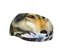 Diadema de pelo de lobo con diseño de animales salvajes para hombre y mujer, diadema para correr, diadema transpirable para gimnasio.