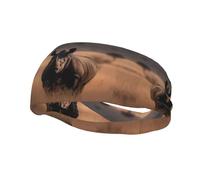 Diadema deportiva Big Rhino in the Wilderness para hombres y mujeres, bandas elásticas anchas para el cabello, banda para el sudor que absorbe la humedad, bandas para la cabeza antideslizantes y moder