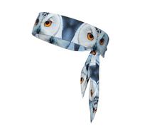 Diadema deportiva con estampado de ojos de búho nevado, unisex, para correr, fitness, tenis, ciclismo, yoga
