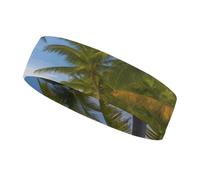 Diadema Deportiva con Estampado de Palmeras de Paradise Beach para Hombres y Mujeres, Diadema Transpirable para Entrenamientos, Ideal para Hacer Ejercicio, Tenis, Baloncesto y Correr.