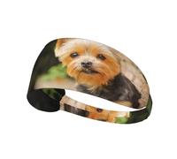 Diadema Deportiva, Diademas elásticas, Banda para el Pelo para Gimnasio, Ciclismo, Tenis,Yorkshire Terrier Bokeh Lindo Perros Pared Yorkie